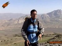 جنگل اسپیرو