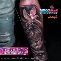 تاتو کبوتر و شیر و چشم روی ساعد دست