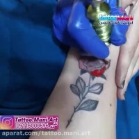 تتو گل سرخ روی ساعد