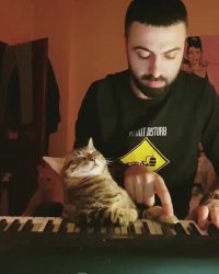 اگر عشق واقعی میخواید، عاشق حیوانات باشید...