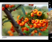 دیدنی های بجنورد