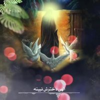 کلیپ شهادت امام علی | کلیپ زیبا | امام علی | مداحی زیبا