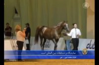 بی نظیرترین تمرینات قهرمان جهان بدن سازی ....