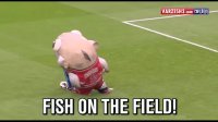 به این میگن ماهی فوتبالیست خور!