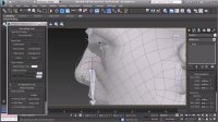Pluralsight Facial Rigging for Games in 3ds Max
