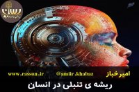 ریشه ی تنبلی چیست؟  - امیرخباز