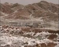 جواد توکلی طرقی