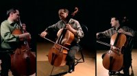 قطعه زیبا بی کلام The Cello Song -  ویالون سل