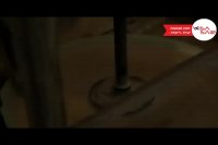 دلفت هلند - Delft Netherlands - تعیین وقت سفارت هلند با ویزاسیر