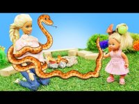 برنامه کودک نی نی ها : پیک نیک خانوادگی و مار سمی