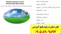 کدینگ لغات انگلیسی کتاب 504 و کتاب 1100ـ استادعلی کیانپور