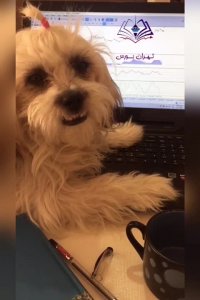 اعتراض به حجم مبنی