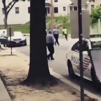 قارچ خور در دنیای واقعی