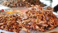 آیا حشرات قابل خوردن هستند؟