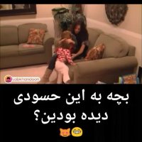 بچه به این حسودی دیده بودید؟!
