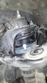 ضربه گیر کمک فنر TTC اصل کره - پرادو