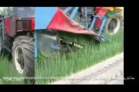 برداشت مکانیزه مارچوبه