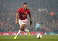 گل زیبا " والنسیا " به اورتون