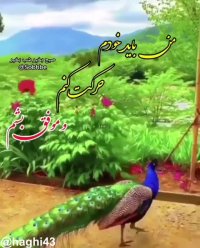 کلیپ جالب استوری واتساپ سلام به زندگی