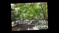 فروش 13000متر باغ با بنای قدیمی در ملارد کد1315