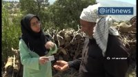 خدمات بانوي جوان دامپزشک در مناطق صعب العبور