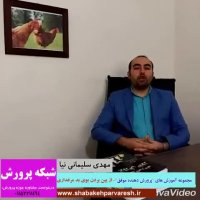 راه های از بین بردن بوی بد مرغداری
