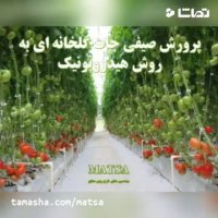 طرح توجیهی گلخانه هیدروپونیک صیفی جات