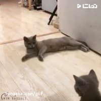 ایستگاه دروازه دولت!