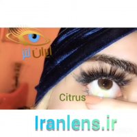 لنز رنگی سبز سیتروس فصلی کد O606