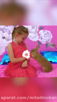 برنامه کودک ناستیا و استیسی/ کارتون انگلیسی قسمت جدید