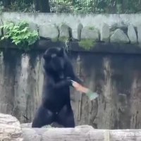 یکی از شاگردان بروسلی