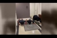 چالش سید مهدی رحمتی برای مبارزه با کرونا