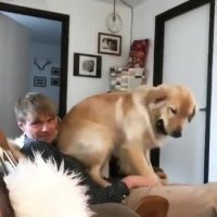 انگار بره اونورتر غرق میشه