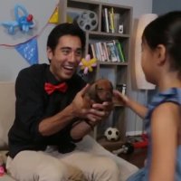 خلاقیت زچ کینگ - سگ عروسکی