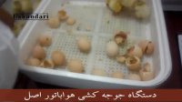 جوجه کشی با دستگاه جوجه کشی هواباتور