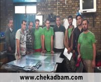 خانواده همیشه سبز چکادبام