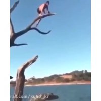 اومد هنرنمایی كنه تِركید