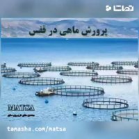 طرح توجیهی پرورش ماهی در قفس