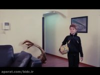 خرید محصولات پاکسان از آلیار