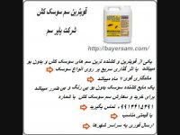 سم سوسک بسیار قوی نابود کننده ی سریع