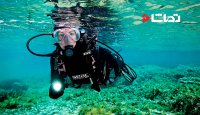 سواحل شفاف و زیبای عربستان در دریای سرخ، مقصد جدید غواصی