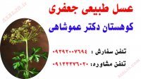 عسل طبیعی جعفری - فروشگاه عسل کوهستان عموشاهی