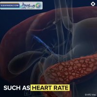 بررسی ساختار بدن در واقعیت مجازی
