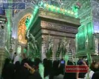 هفته کرامت؛ گلباران حرم مطهر شاهچراغ (ع)