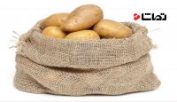با خواص درمانی و تغذیه ای سیب زمینی آشنا شوید