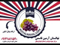 خرید و فروش و اطلاع از قیمت نهال انگور 09141811520