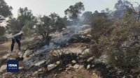 آتش سوزی جنگل‌ها و مراتع سرگچینه شهرستان بویراحمد