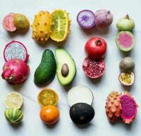 دستگاه خشک کن میوه