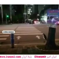 واقعا باورنکردنیه !!!