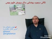نکاتی درباره شدت روشنایی سالن پرورش طیور بومی